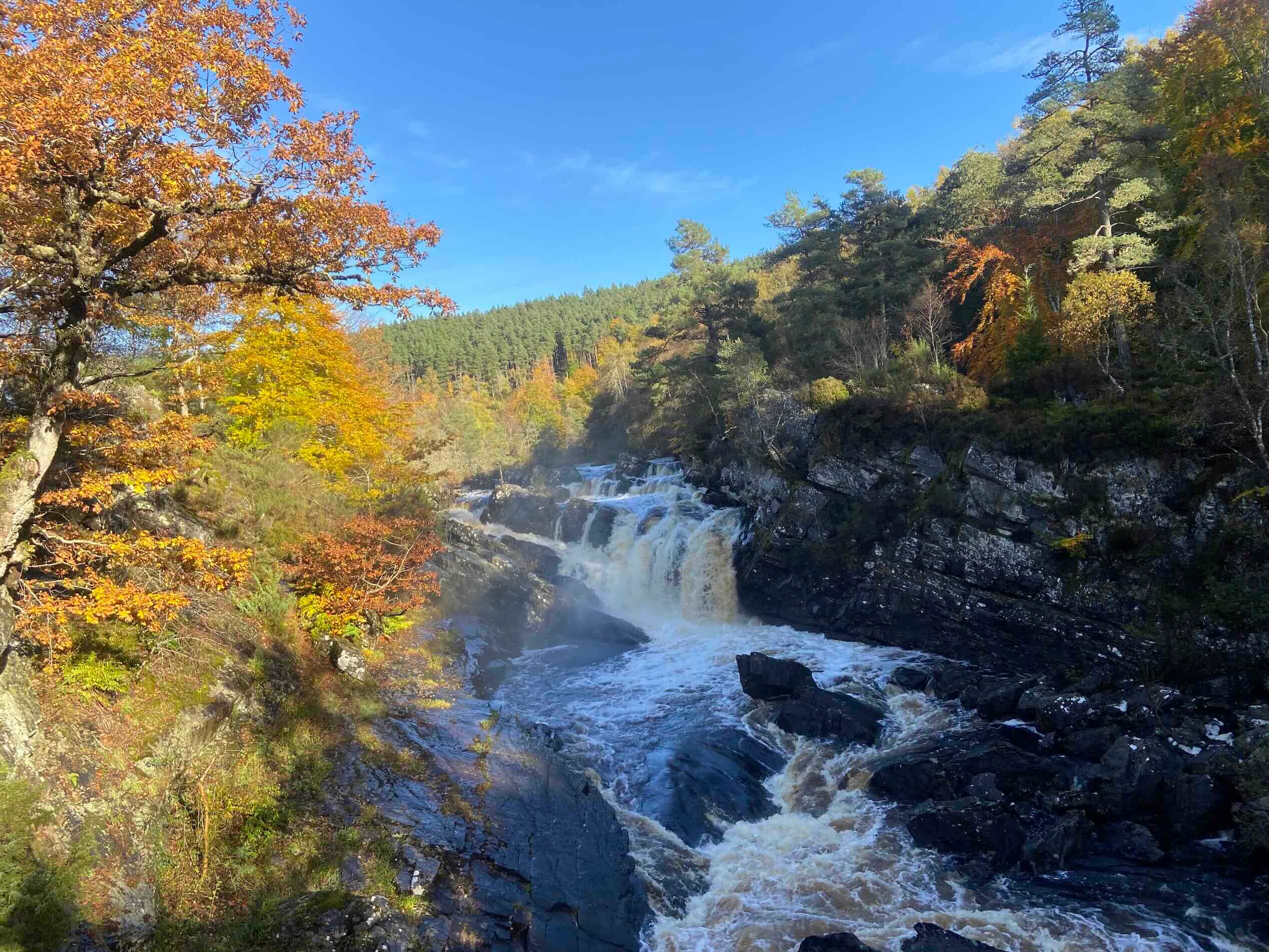 Chauffeur vs Self-Drive in the Highlands